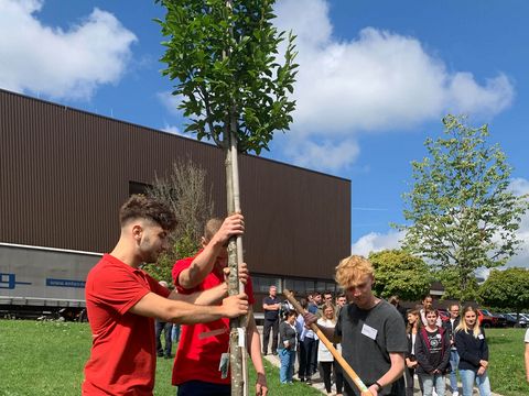 Gruppe an Azubis pflanzen einen Baum ein vor dem Gebäude von Häring